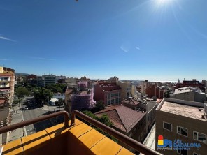Vistas